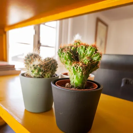 Duquesa Port - Bright Sunlit Terrace Appartamento